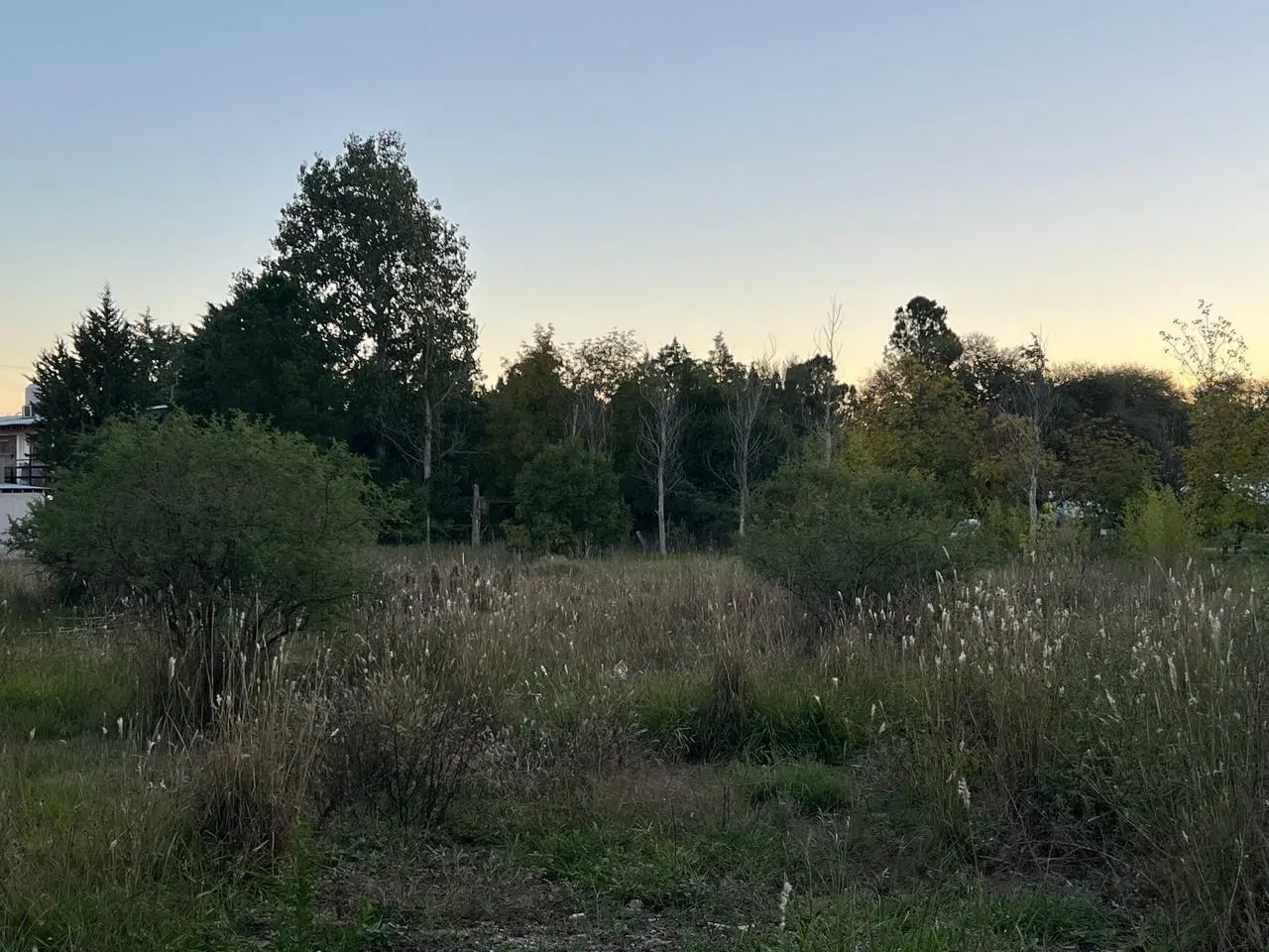 Lote de Terreno 4