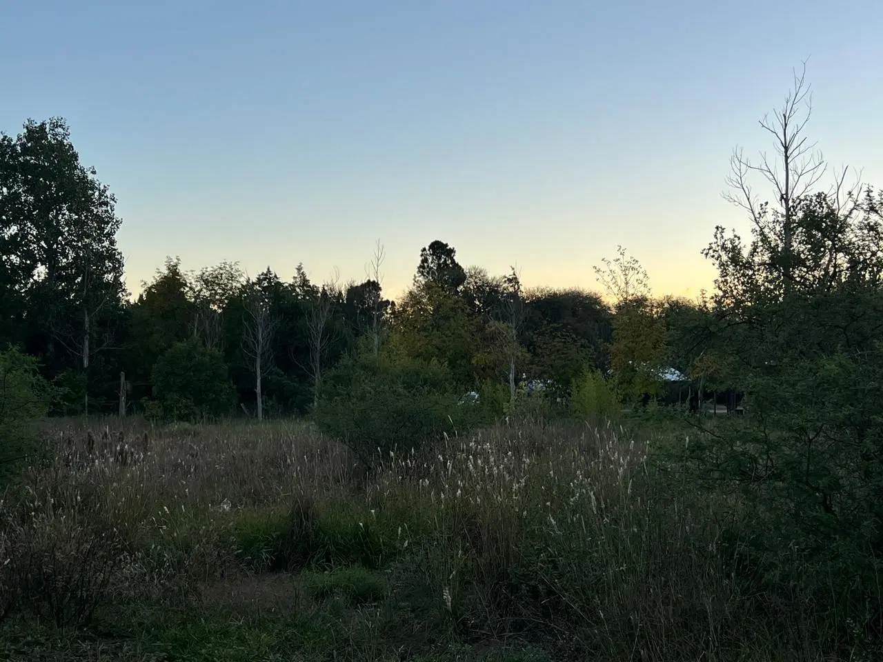 Terreno San Sebastián 3
