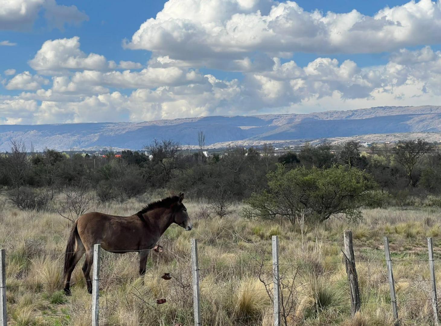 Foto de Importantes Fracciones de Terreno en Nono - Acceso privado al Río, imagen 2