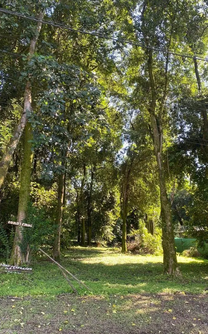 Terreno en El Corte (Sarmiento y Anibal Di Francia) 4