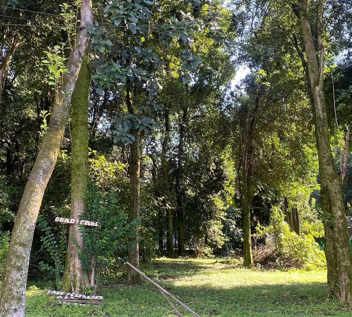Terreno en El Corte (Sarmiento y Anibal Di Francia) 3