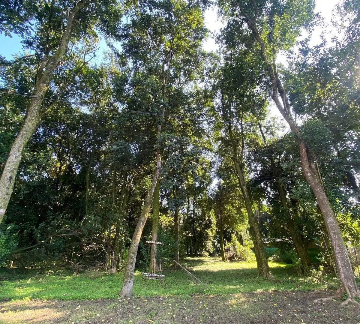 Terreno en El Corte (Sarmiento y Anibal Di Francia) 2