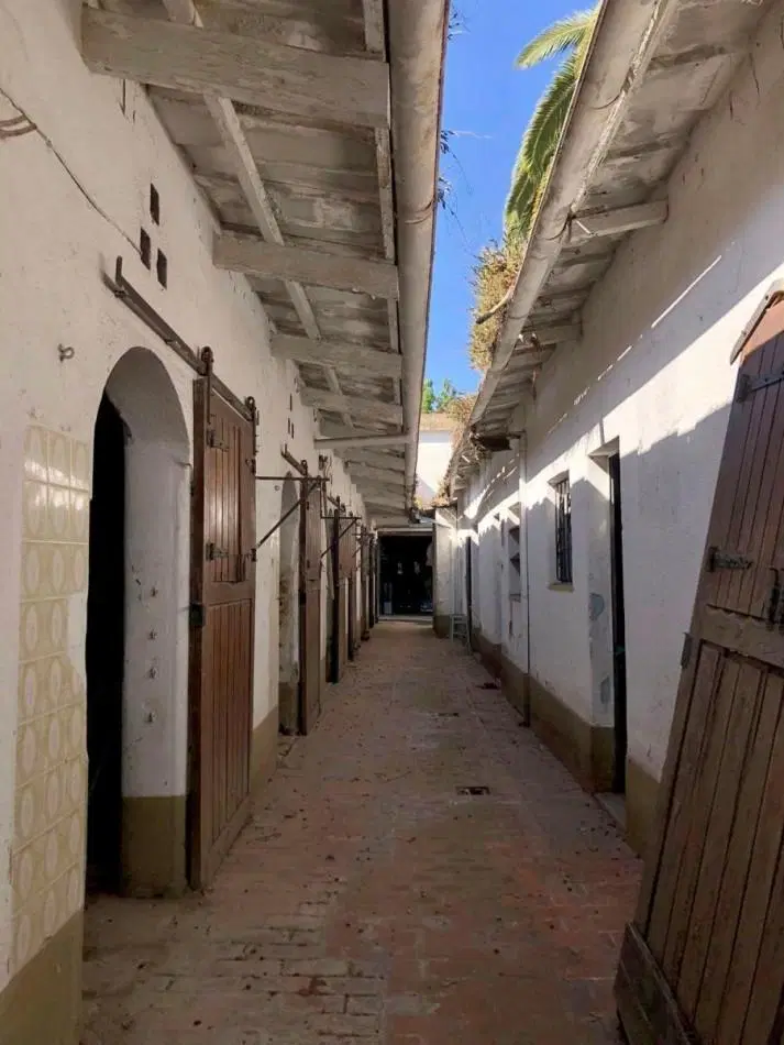 Casa de 4 Ambientes a Refaccionar en Martinez 3