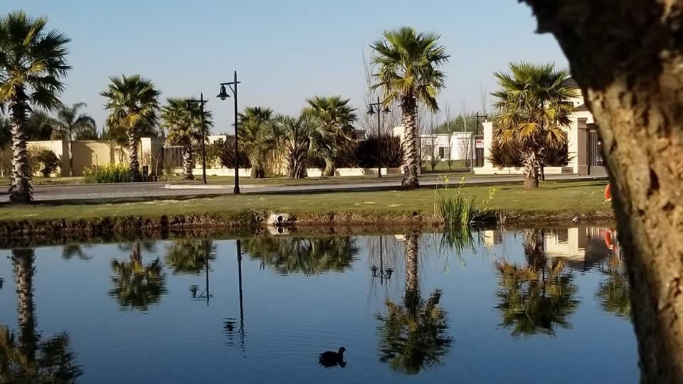 Foto de LOTE EN VENTA HARAS DEL SUR 1, imagen 3