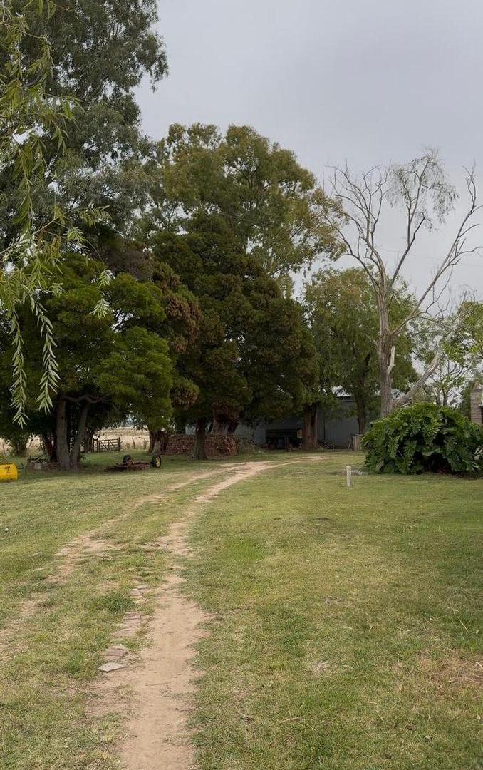 Foto de Campo en Venta de 39 Ha con mejoras, imagen 4