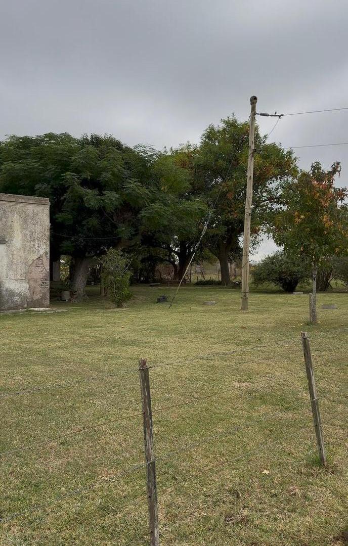 Foto de Campo en Venta de 39 Ha con mejoras, imagen 5