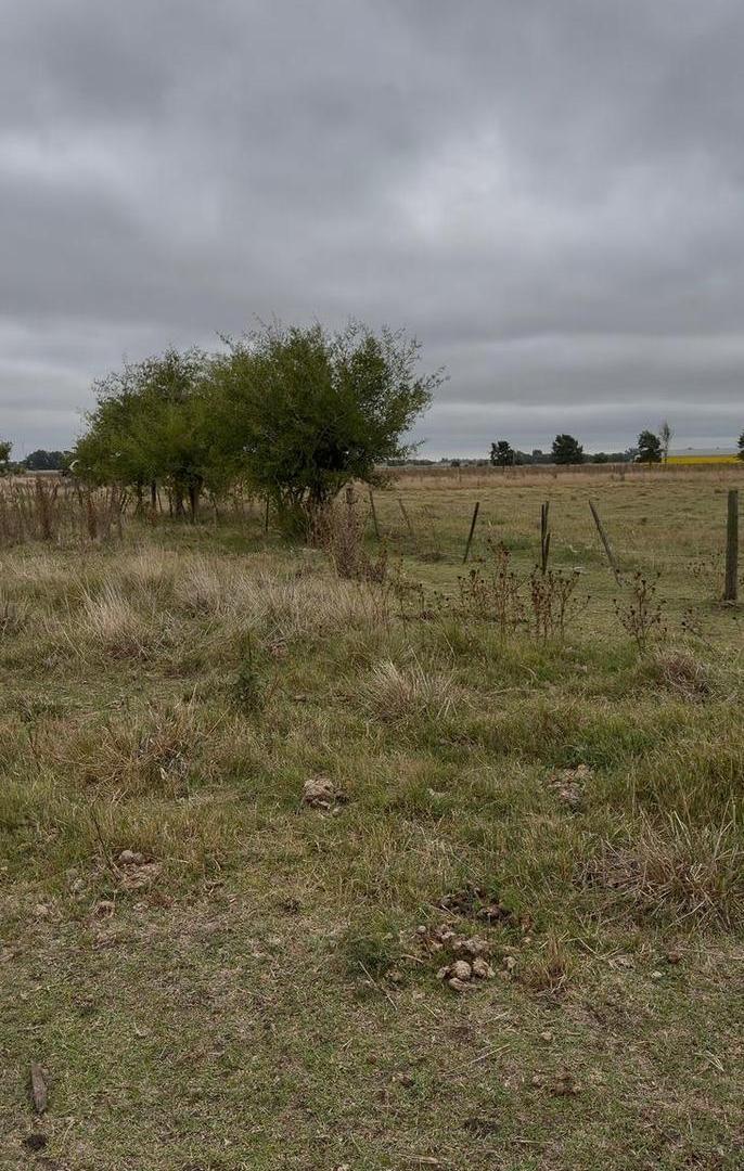 Foto de Campo en Venta de 39 Ha con mejoras, imagen 3