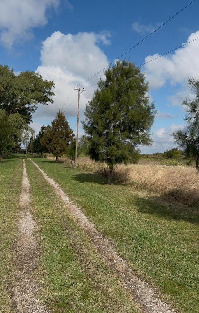 Foto de Campo en Venta de 39 Ha con mejoras, imagen 1