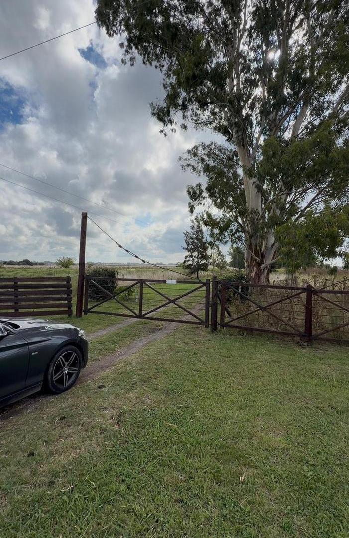 Foto de Campo en Venta de 39 Ha con mejoras, imagen 2