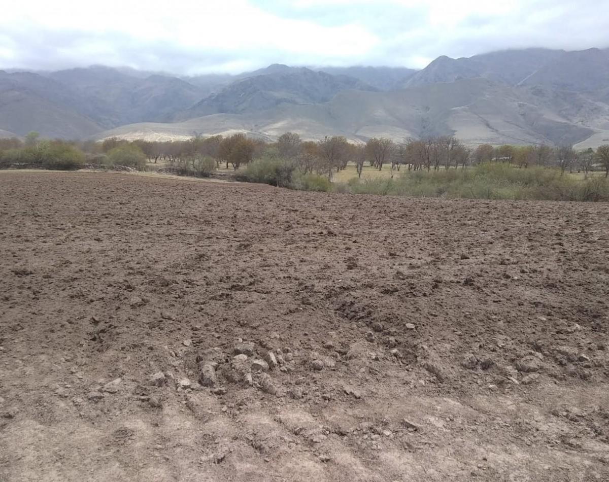 Terreno de 6556 m² Arroyo Los Morales (La Ovejeria) Tafi del Valle 5