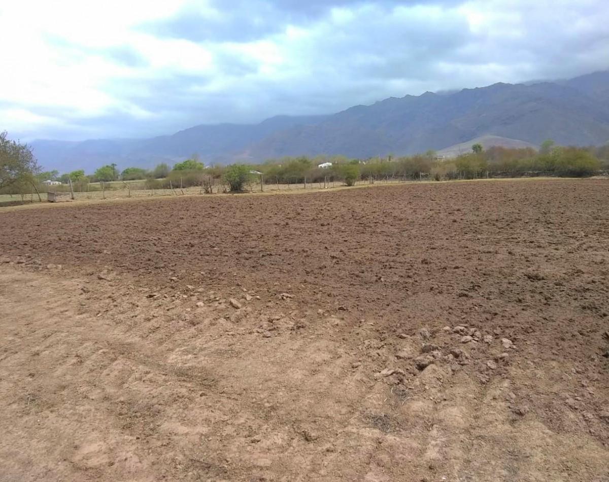 Terreno de 6556 m² Arroyo Los Morales (La Ovejeria) Tafi del Valle 3