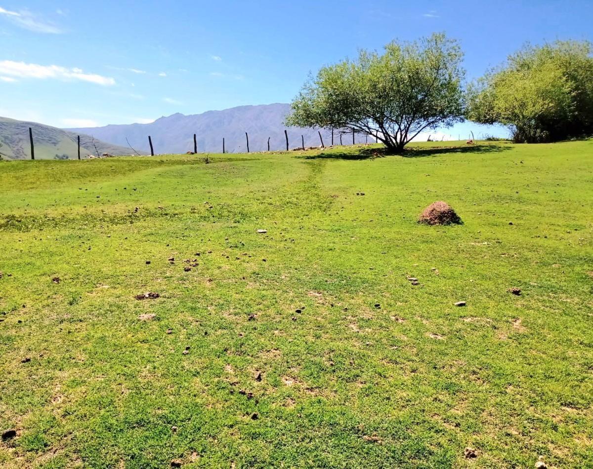 Tafi del Valle - Las Carreras - Terreno de 1070 m² S/ Ruta 325 5