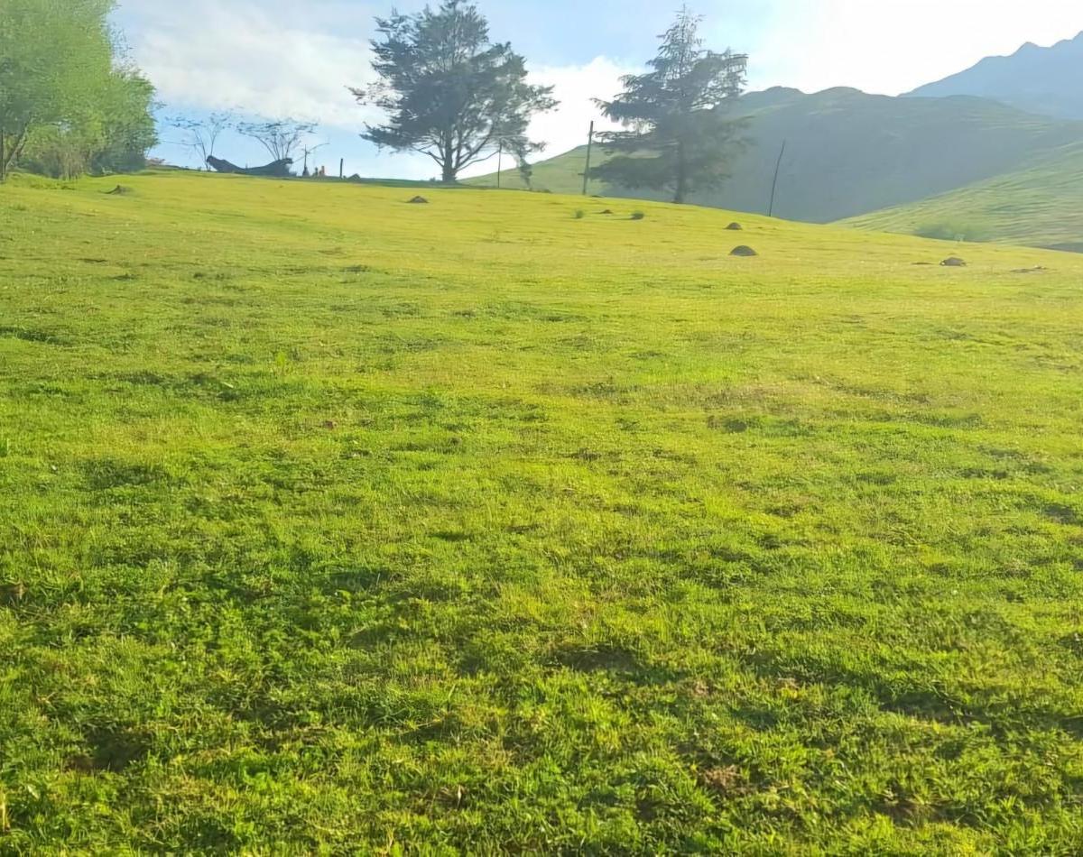 Tafi del Valle - Las Carreras - Terreno de 1070 m² S/ Ruta 325 3
