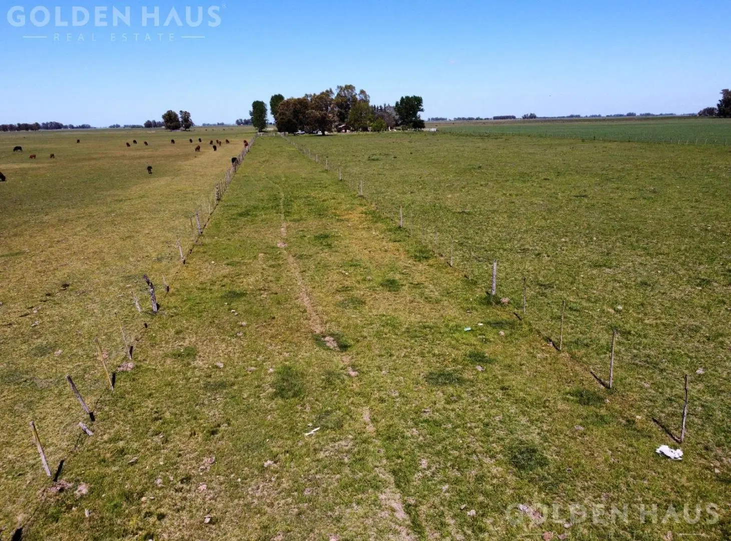 Campo de 50 hectareas a 10 km de Saladillo - Colonia Maria Luisa 5