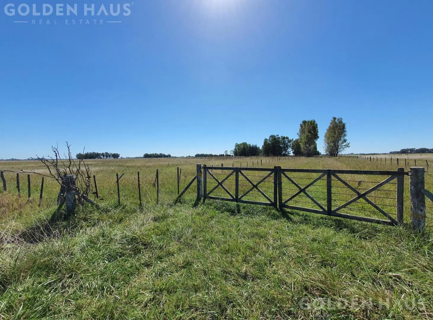 Campo de 50 hectareas a 10 km de Saladillo - Colonia Maria Luisa 4