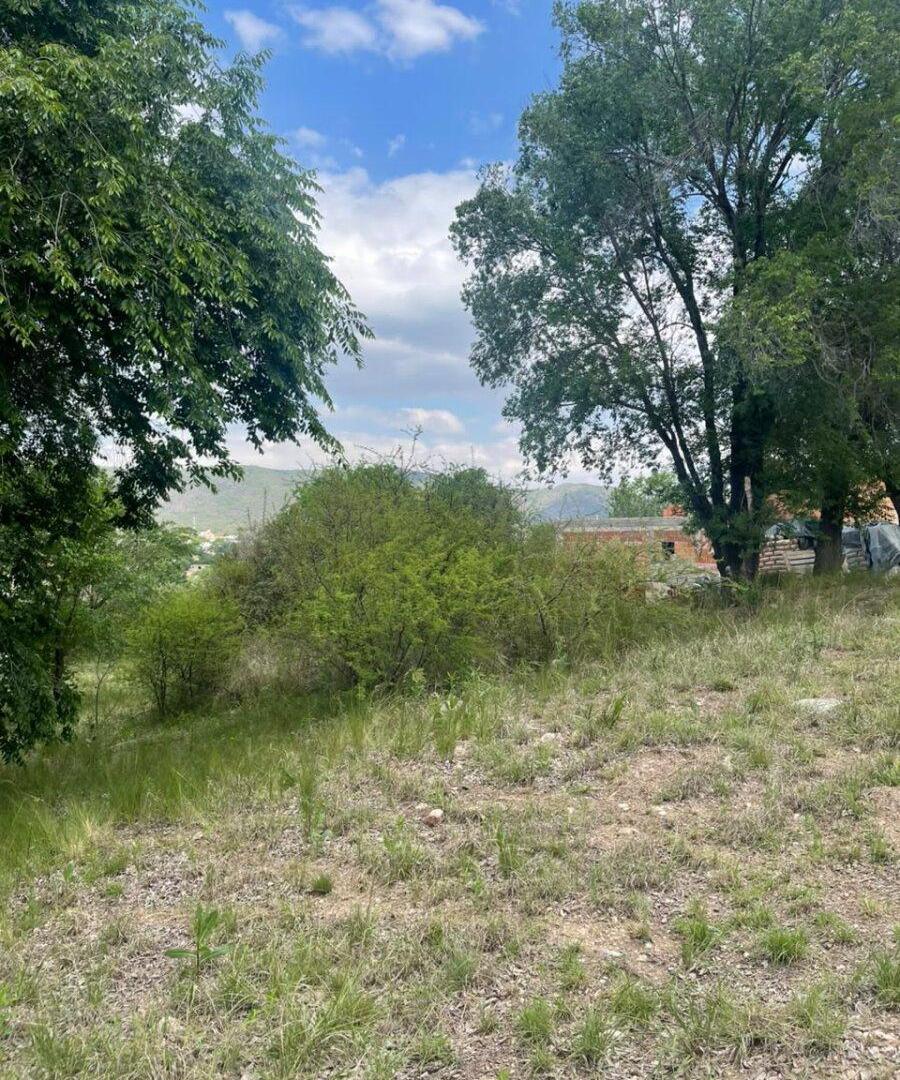 Foto de VENDO LOTE EN COUNTRY DE ALTOS DE CARLOS PAZ, imagen 1