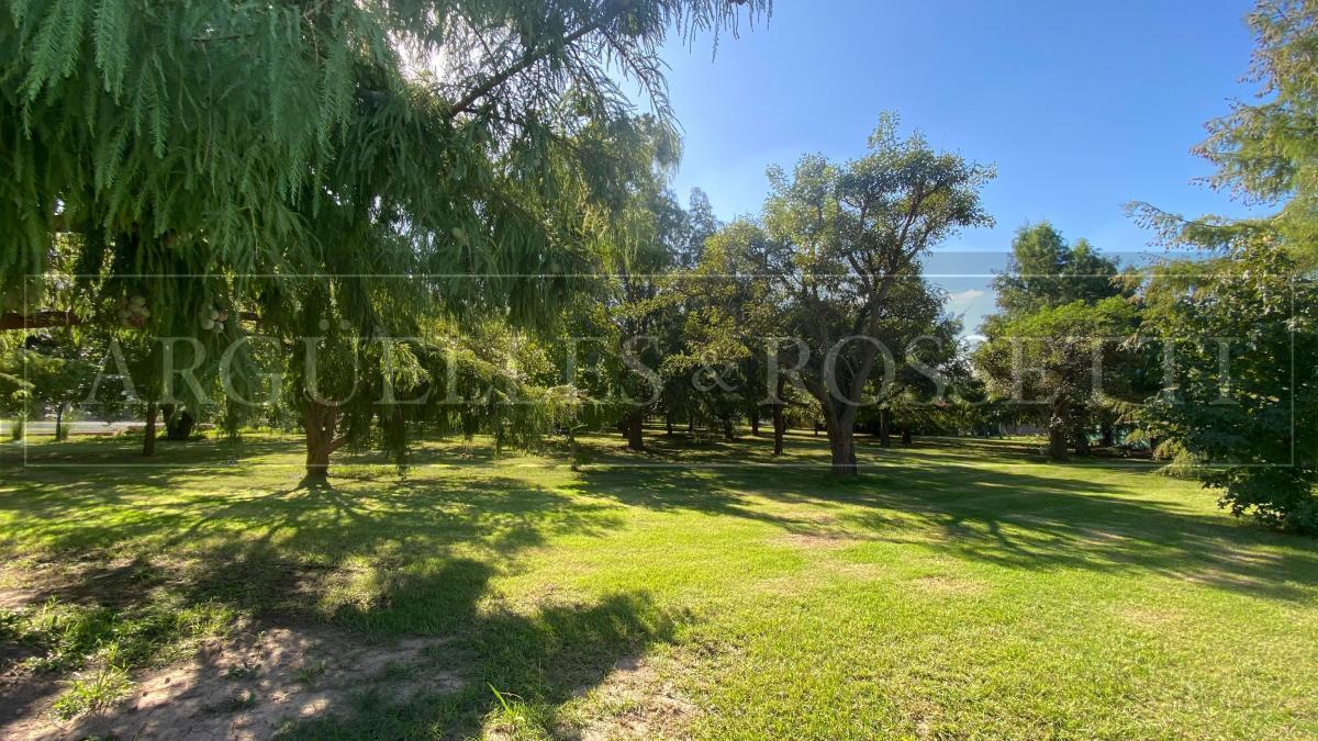Foto de Lote a La Venta San Sebastián, imagen 3