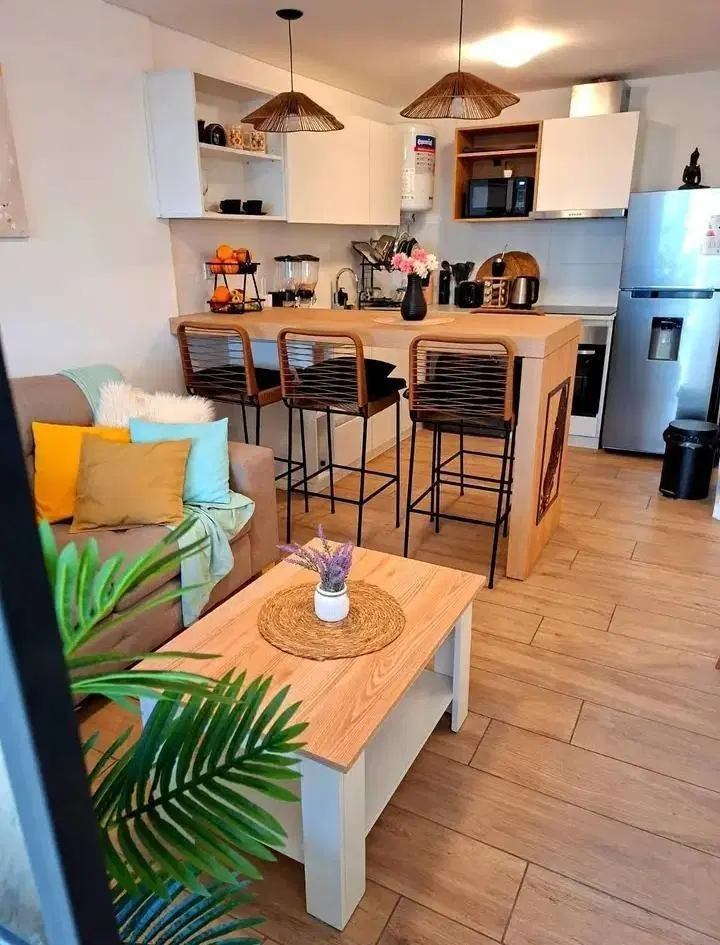 Departamento en Venta en Constitución 1