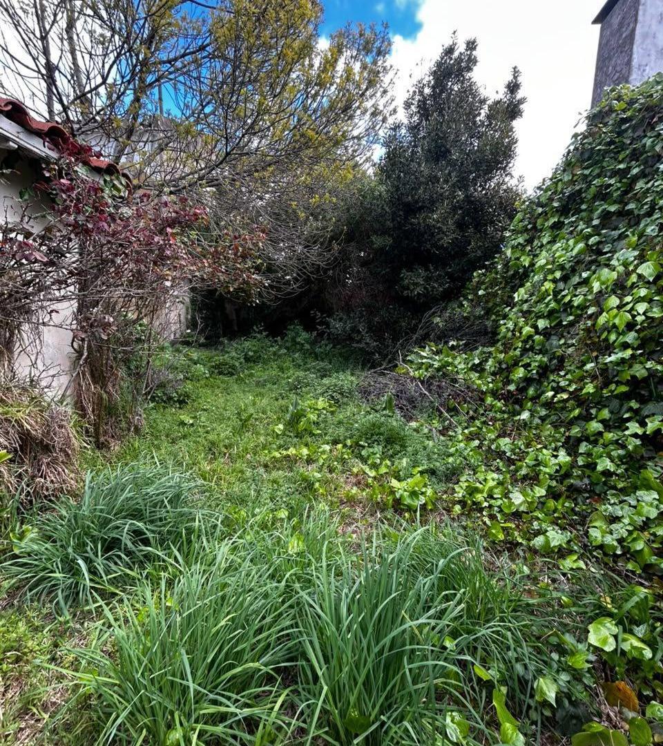 Foto de Casa en Venta en La Perla, imagen 3
