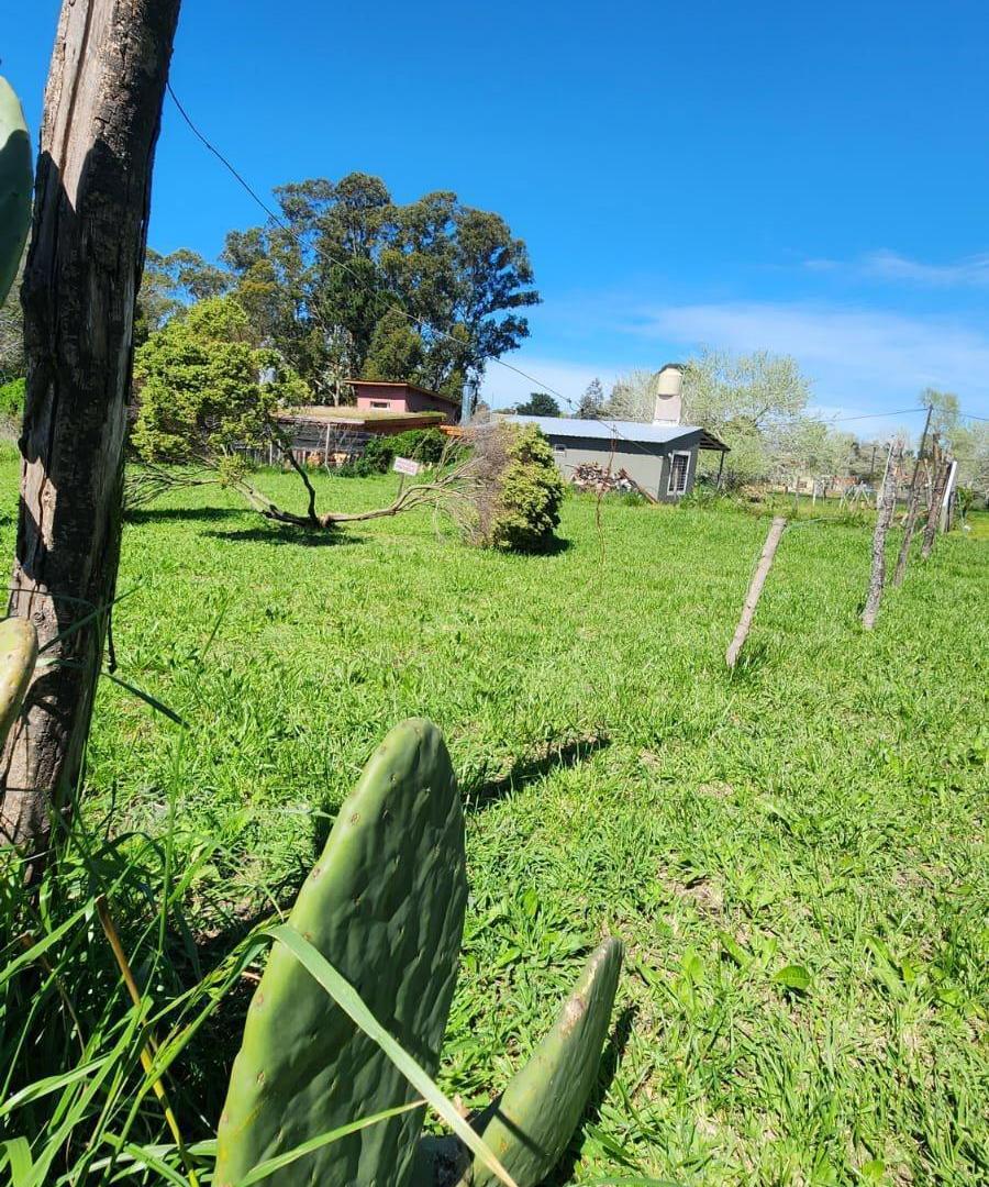 Foto de Terrenos en Venta en Mar Del Plata, imagen 3