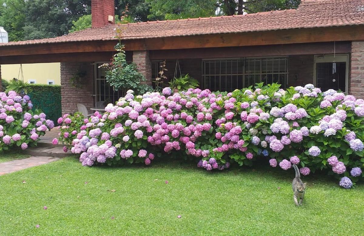 Hermosa y cálida propiedad en el corazón de Parque Leloir APTA CREDITO