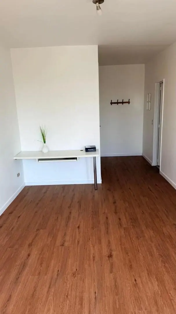 Departamento Monoambiente  en Alquiler en Barrio Chino, Belgrano, Capital Federal 5