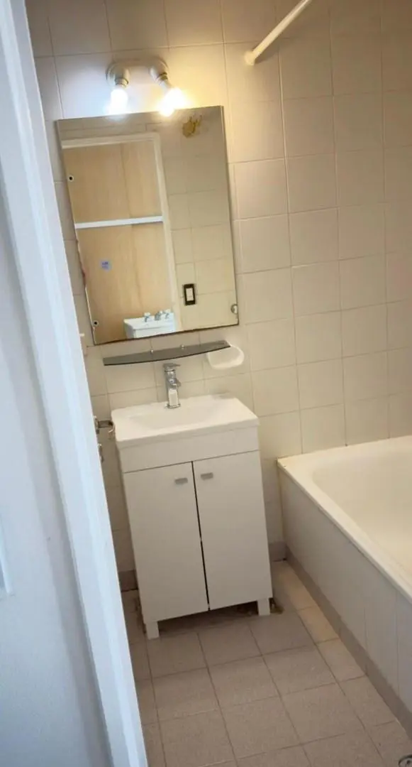 Departamento Monoambiente  en Alquiler en Barrio Chino, Belgrano, Capital Federal 4