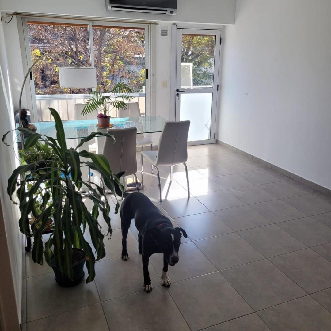 Departamento PH  en Venta en Versalles, Capital Federal, Buenos Aires