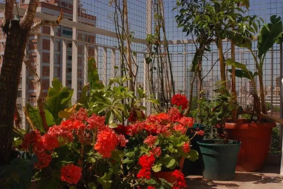 Departamento Dúplex  en Venta en Almagro, Capital Federal, Buenos Aires 3