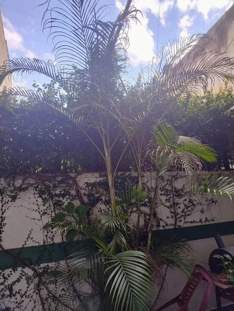 Departamento  en Venta en Balvanera, Capital Federal, Buenos Aires 3