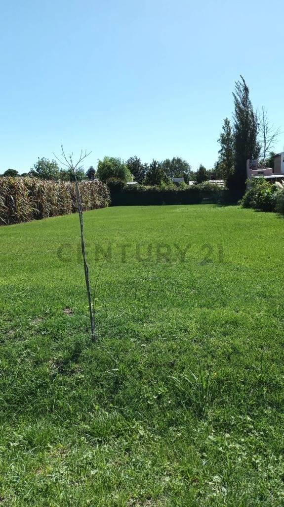 Foto de Vendo terreno en susana - zona de quintas., imagen 2