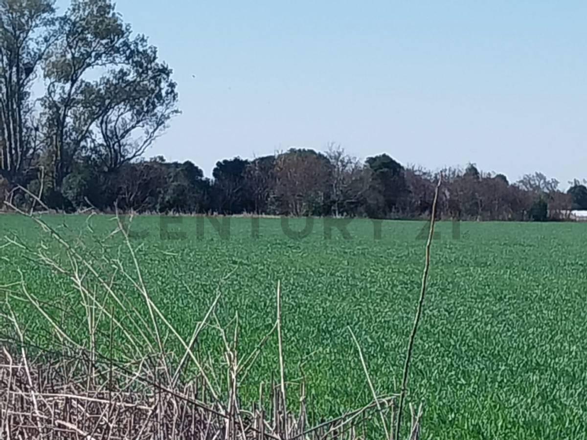Venta de Campo en Lehmann, Santa Fe 2