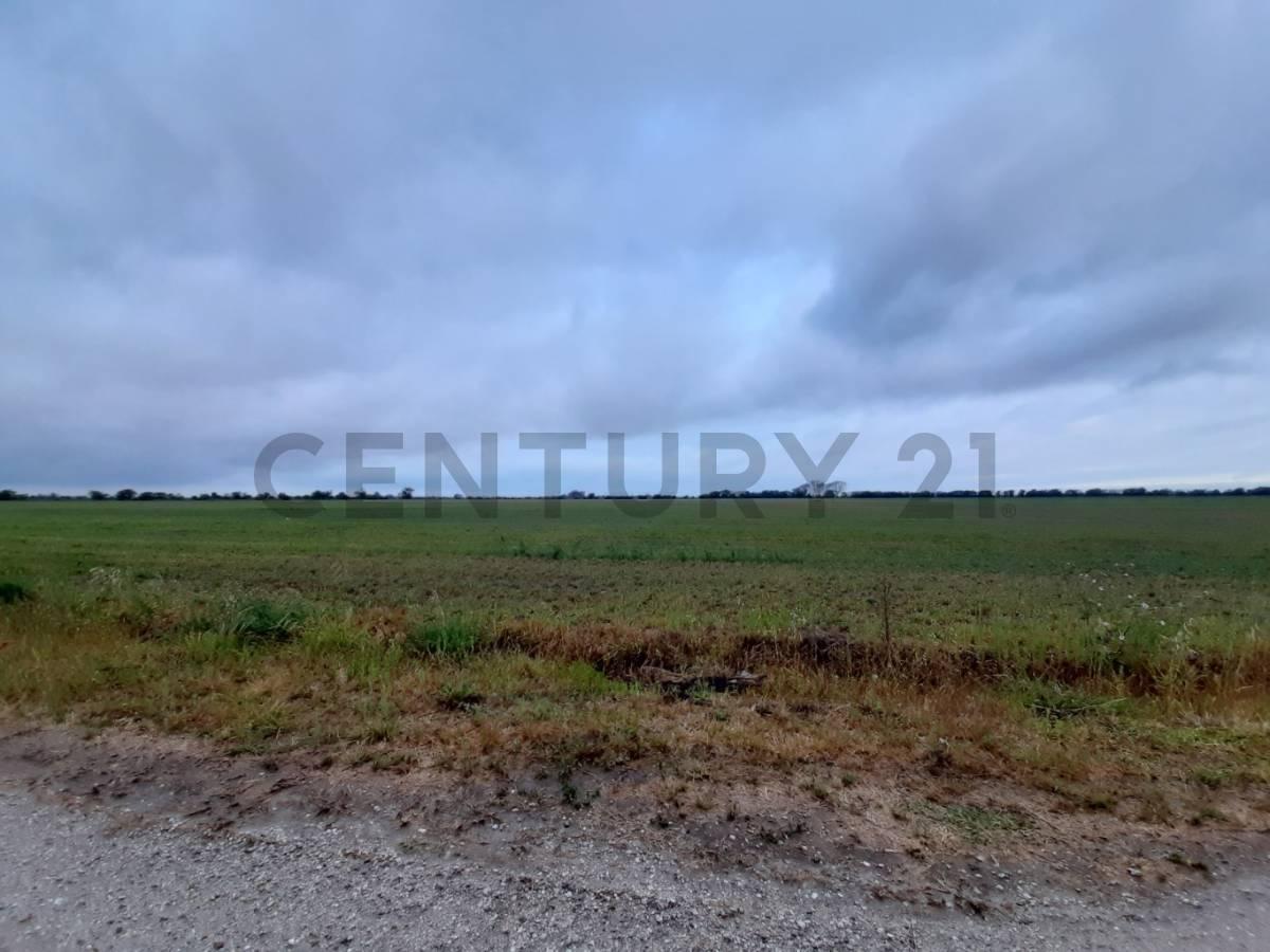 Foto de SE VENDE LOTE EN SUSANA, imagen 5