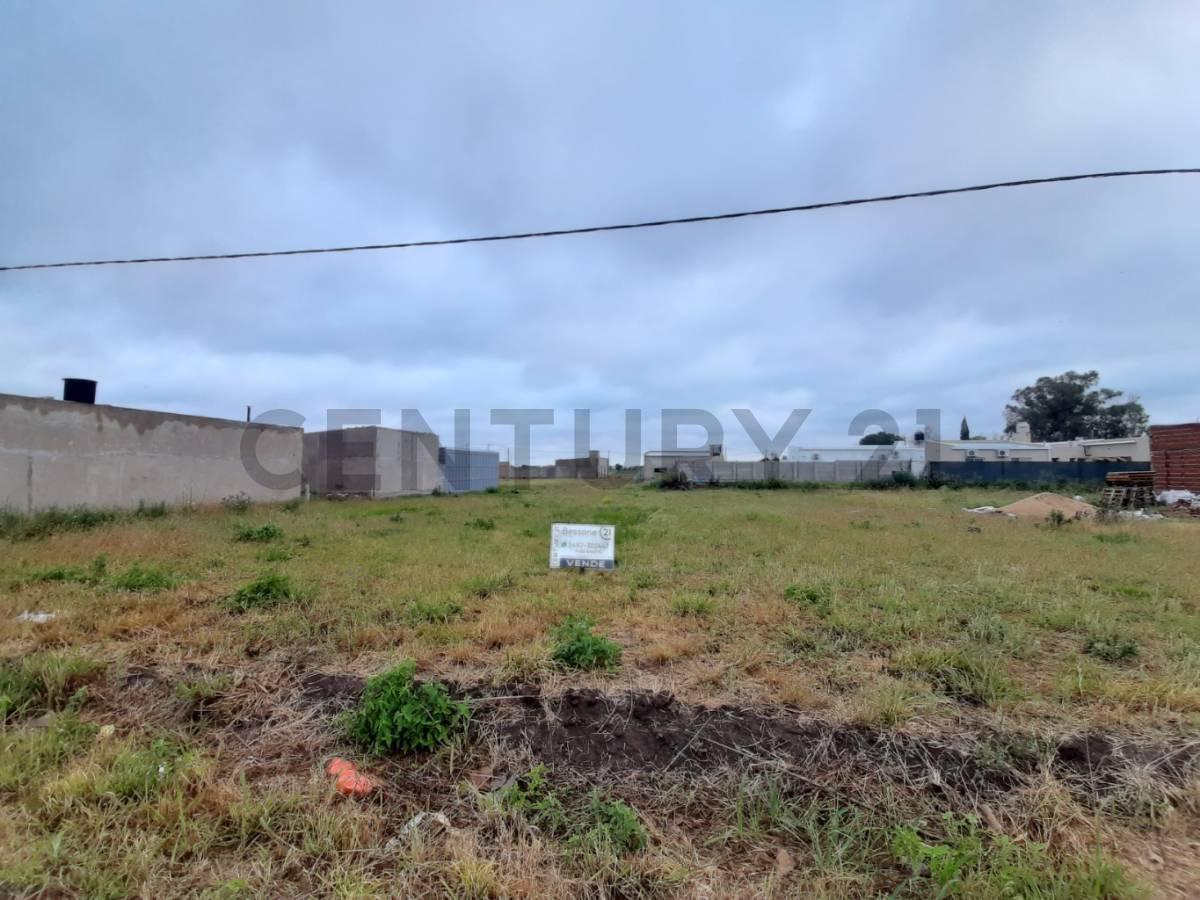 Foto de SE VENDE LOTE EN SUSANA, imagen 4