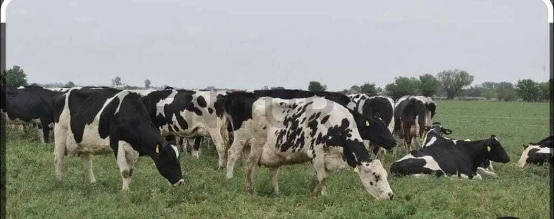 Se vende campo de 9,20 hectáreas en Presidente Roca 1
