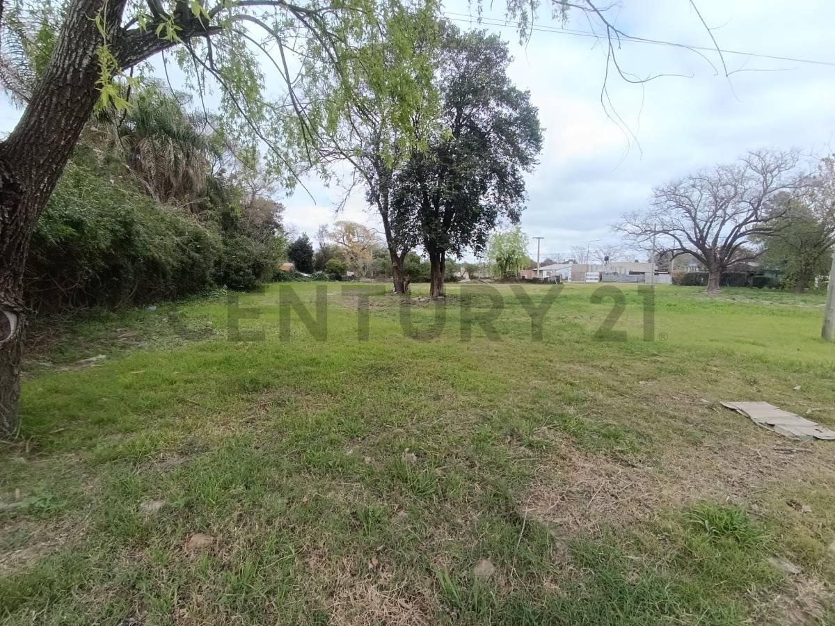 Foto de SE VENDE TERRENO EN SUSANA, imagen 4