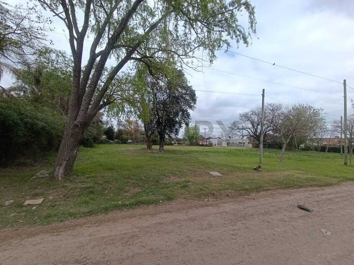 Foto de SE VENDE TERRENO EN SUSANA, imagen 5
