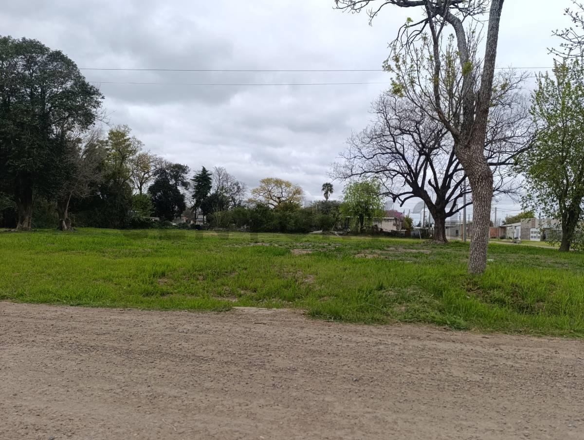 Foto de SE VENDE TERRENO EN SUSANA, imagen 3