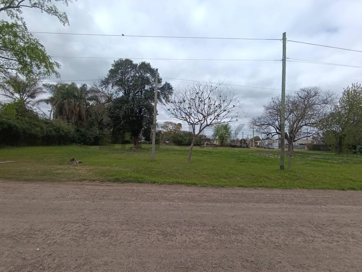 Foto de SE VENDE TERRENO EN SUSANA, imagen 1