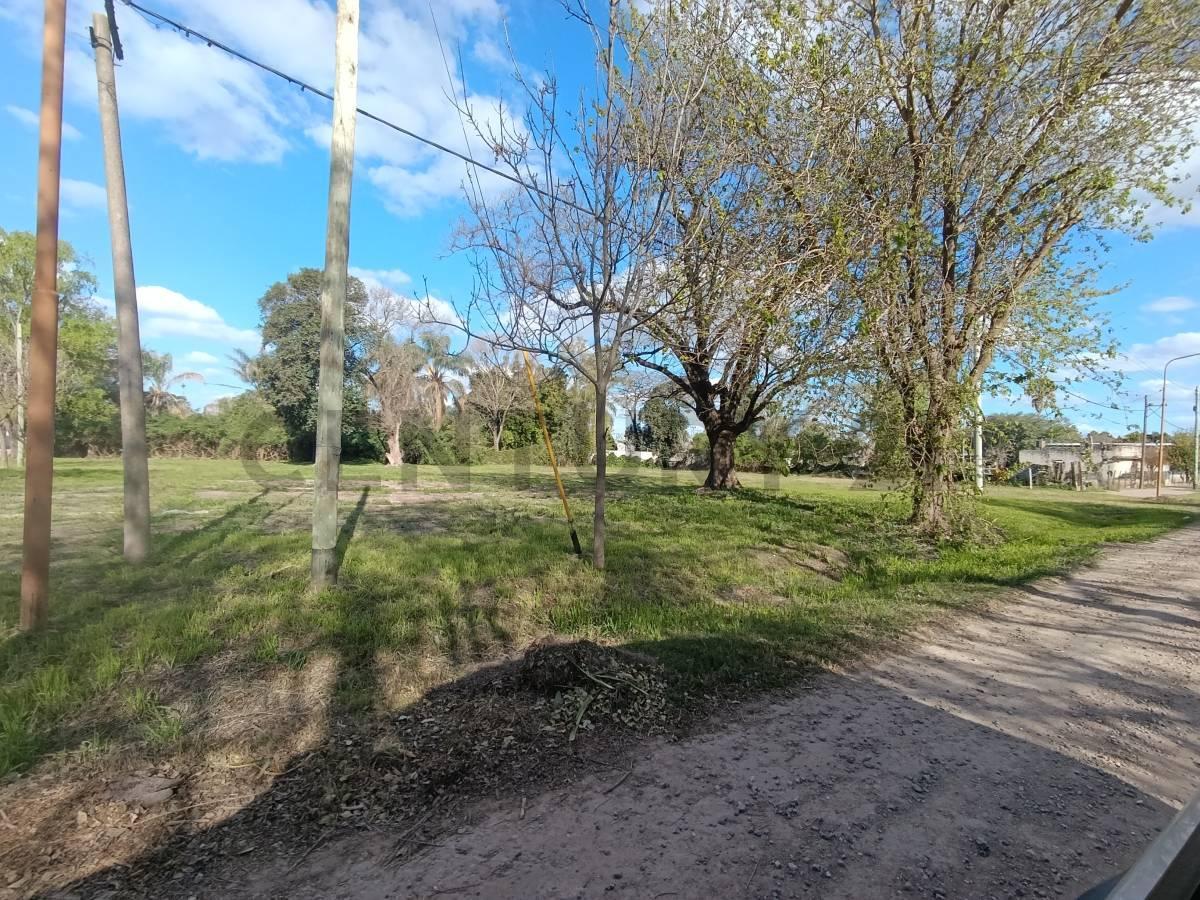 Foto de TERRENOS EN VENTA EN SUSANA, imagen 2