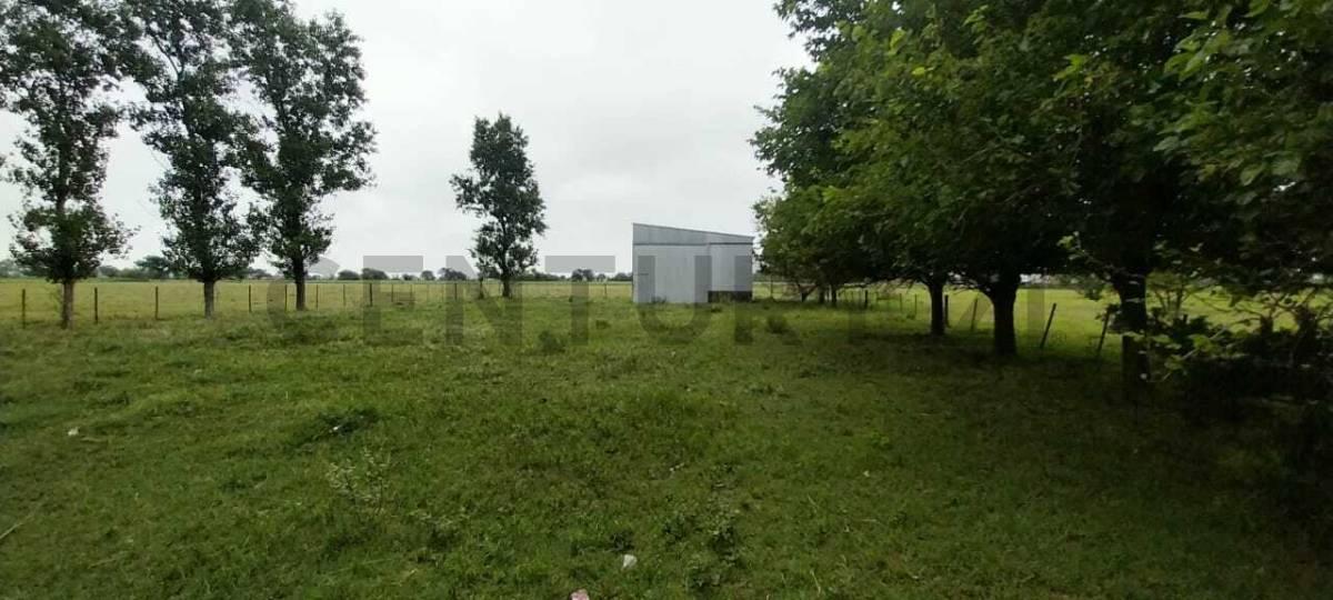 Foto de Se vende Galpon en Angelica!!!, imagen 2