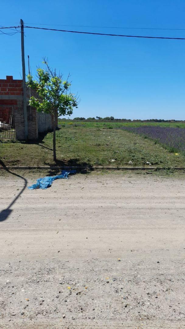 Foto de Lote en venta en Rafaela, imagen 1