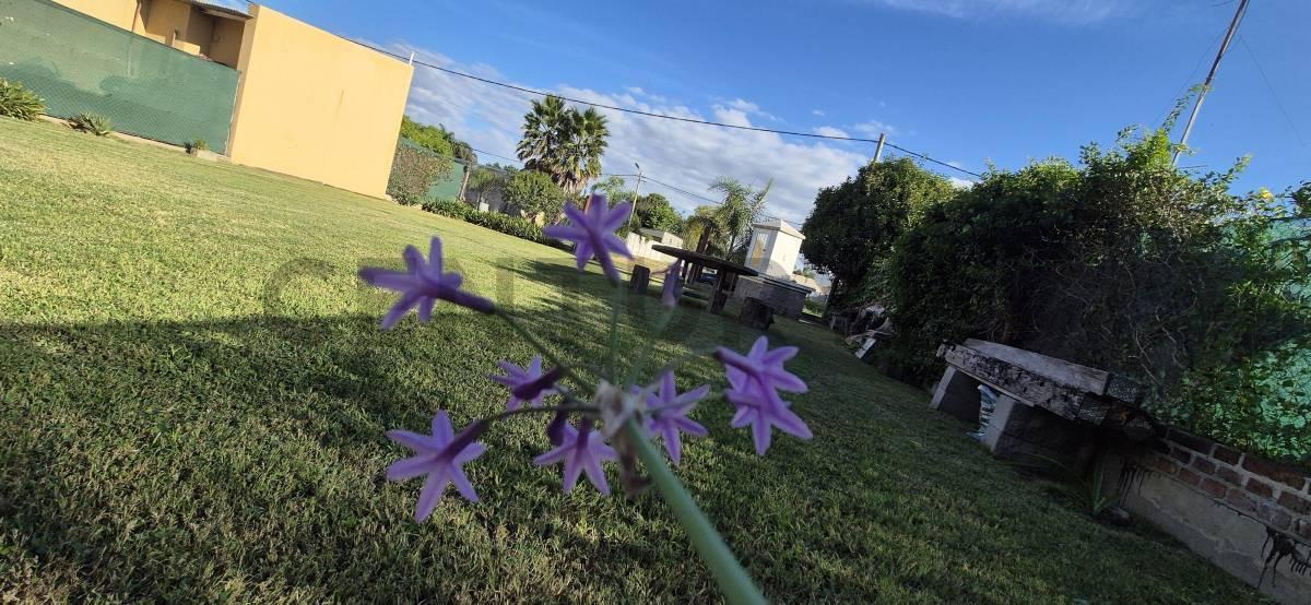 Foto de Casa quinta para descansar en San Antonio, imagen 2