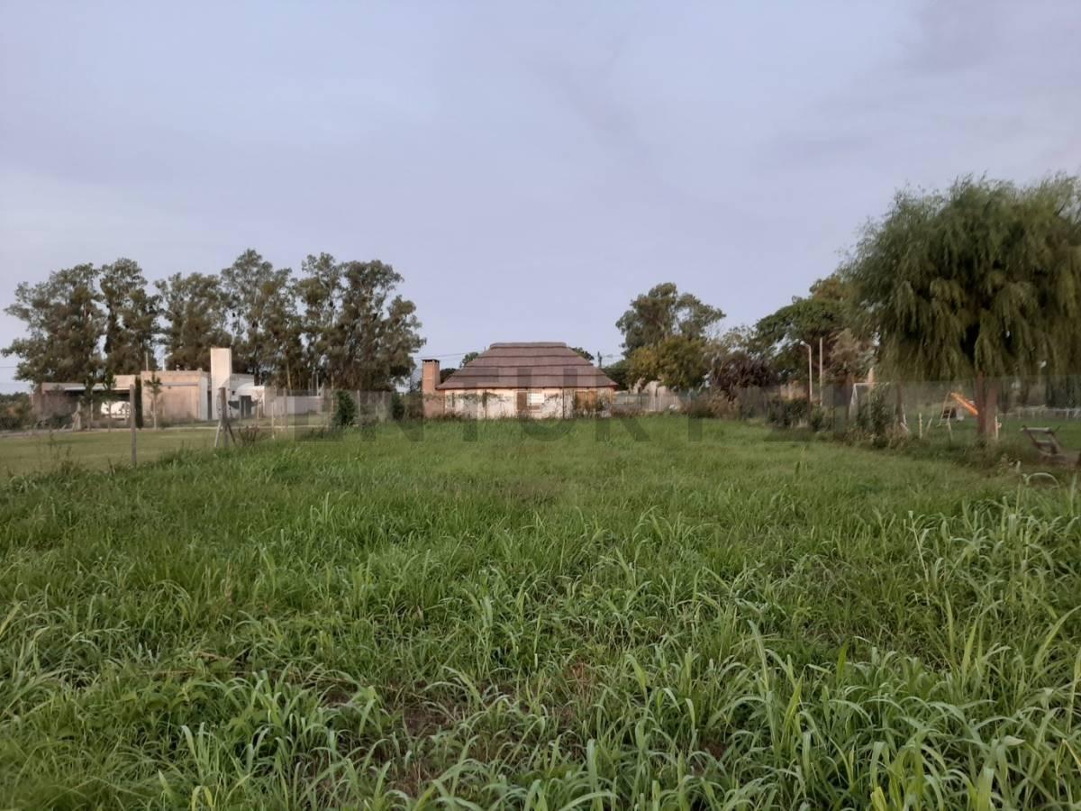 Foto de Lote en venta en Roca, imagen 5