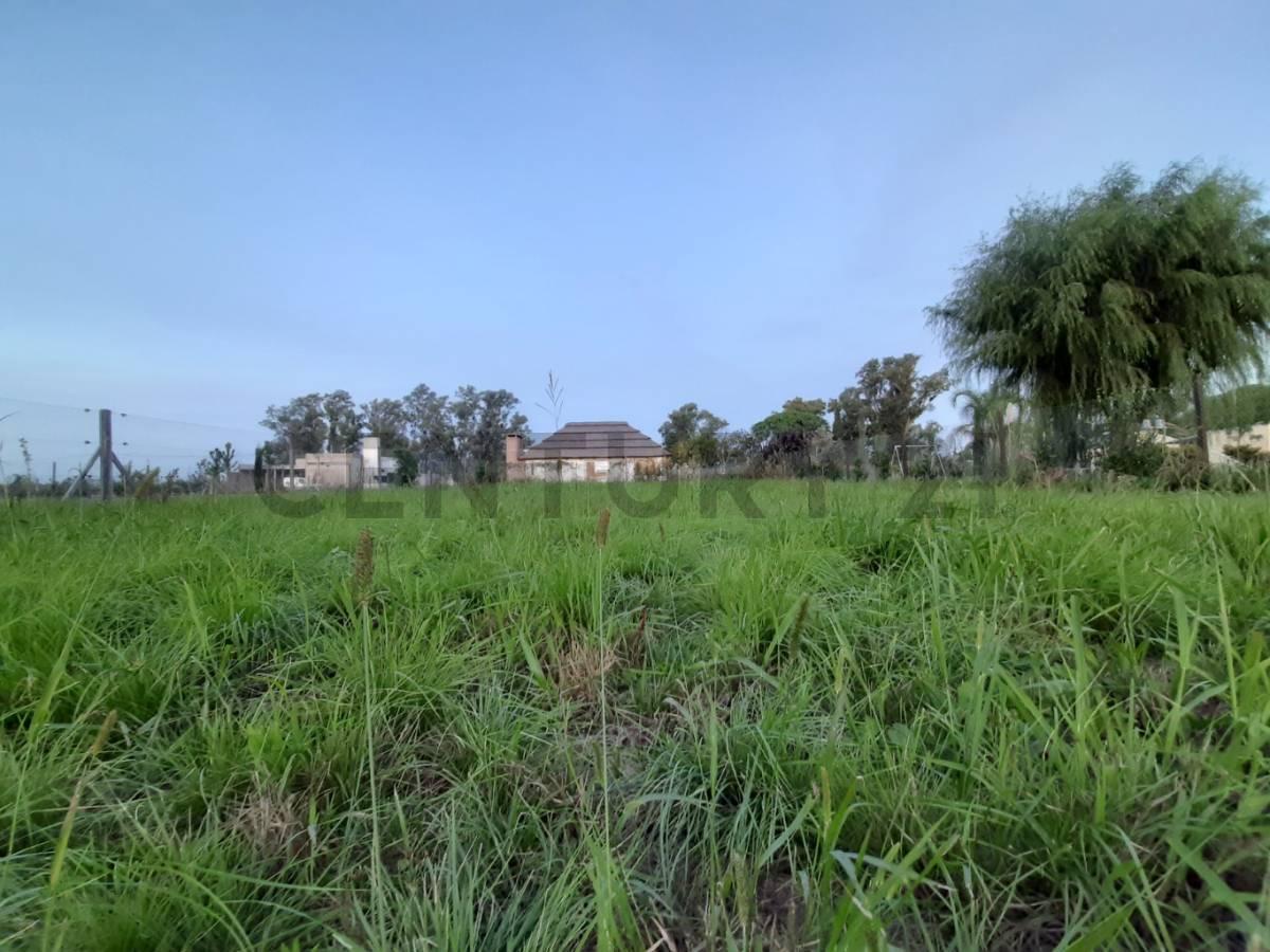 Foto de Lote en venta en Roca, imagen 3