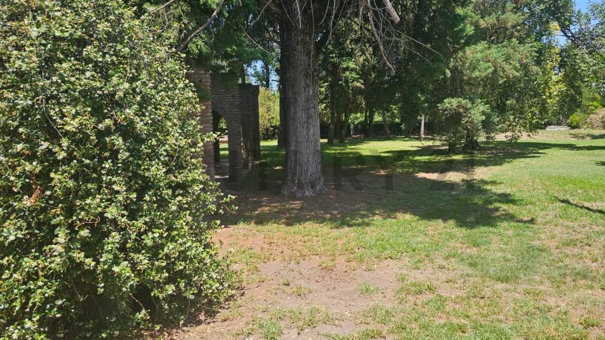 Foto de VENTA DE IMPORTANTE LOTE (845 mtrs2). UBICACION EXCLUSIVA sobre calle, imagen 4