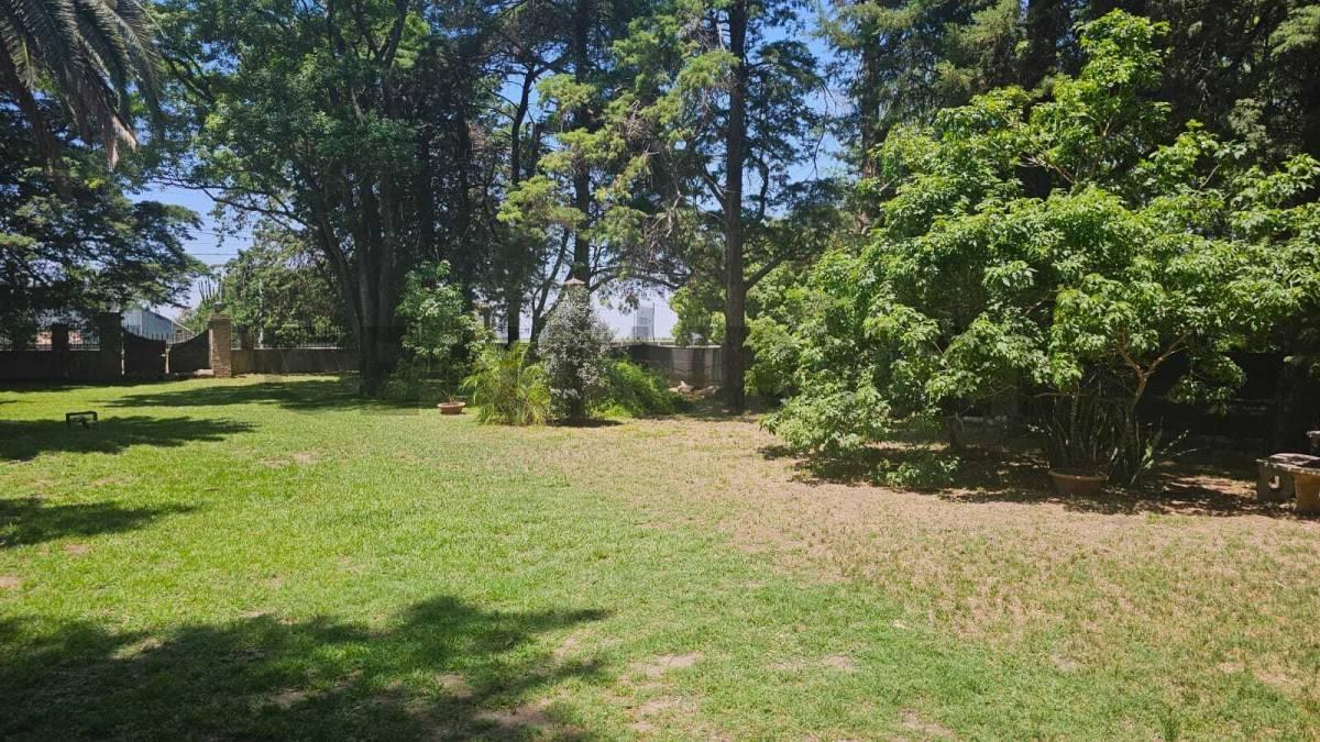 Foto de VENTA DE IMPORTANTE LOTE (845 mtrs2). UBICACION EXCLUSIVA sobre calle, imagen 2