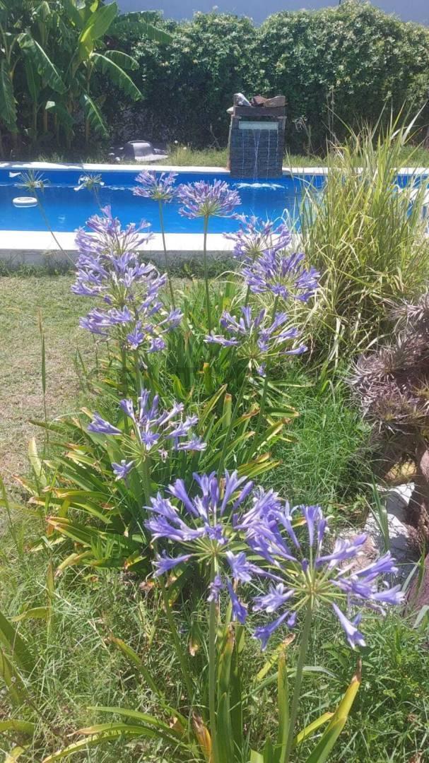 Foto de QUINTA EN VENTA EN SUSANA, imagen 4