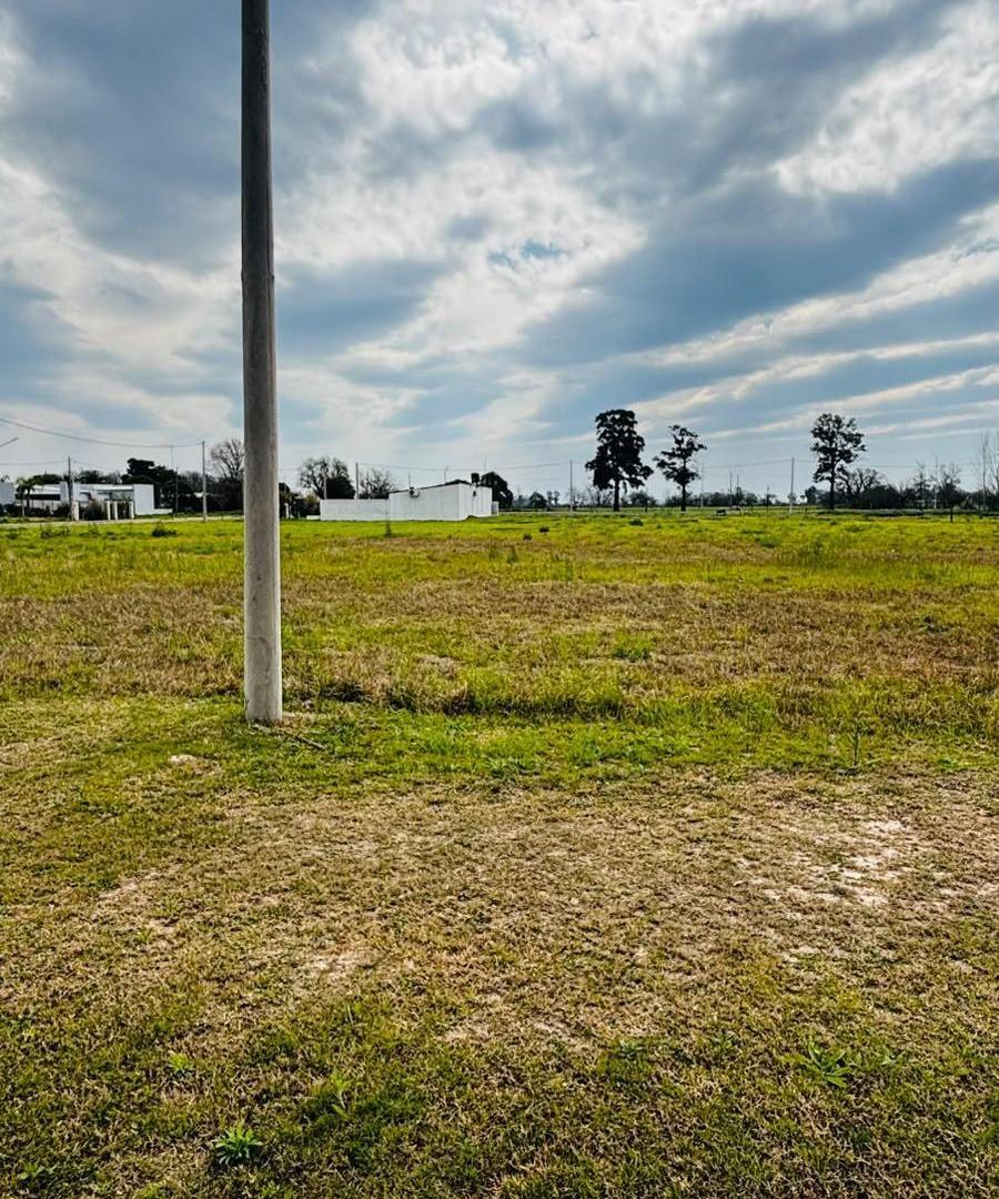 Foto de Terreno en venta en Angélica, imagen 2