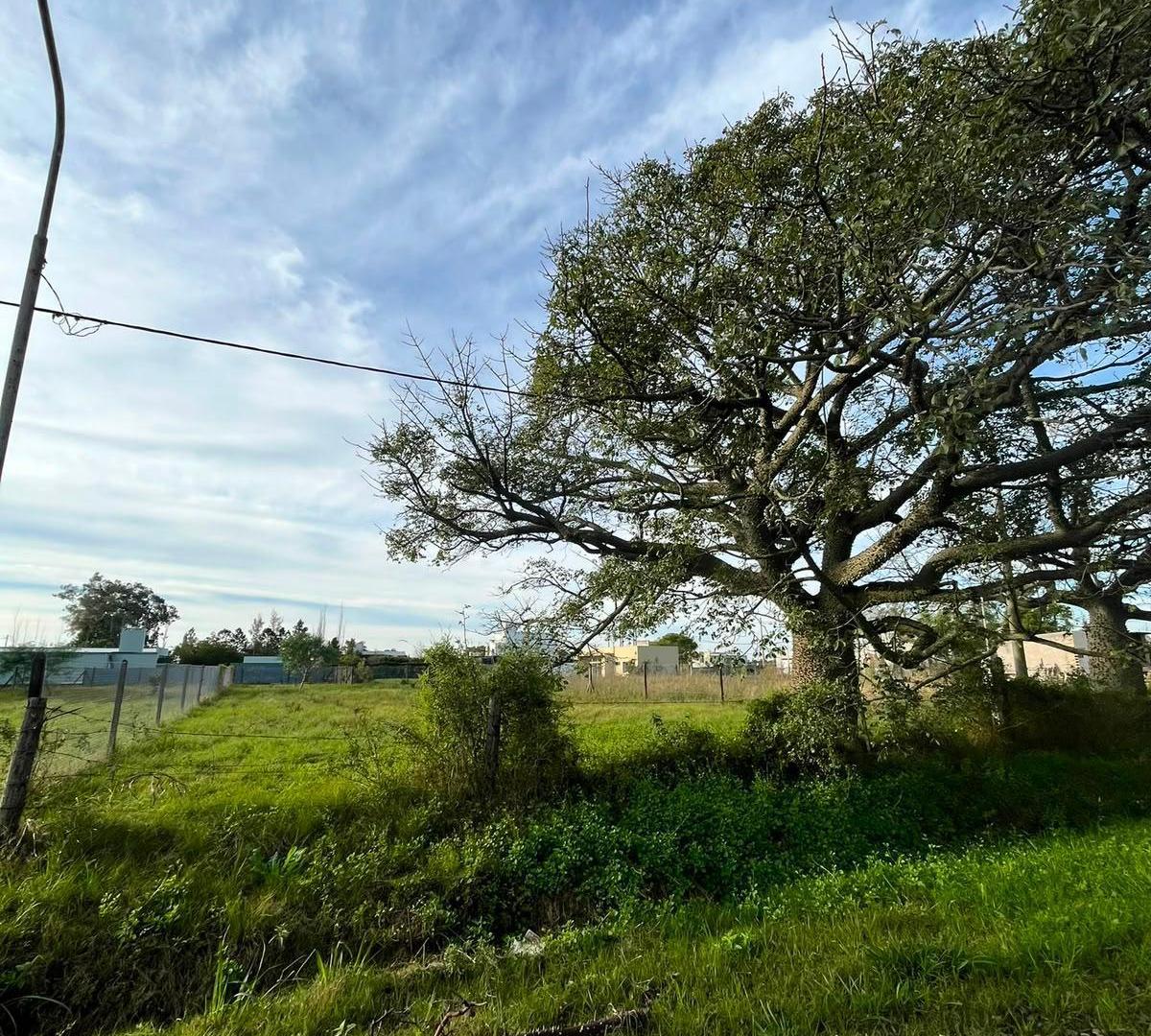 Terrenos en venta en Presidente Roca